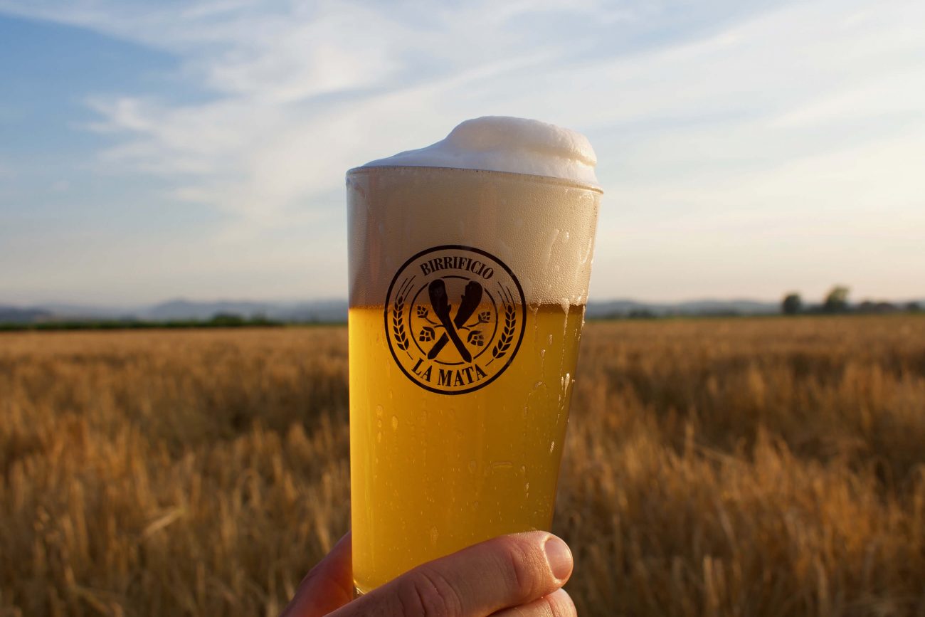 bicchiere di birra sullo sfondo di un campo di malto