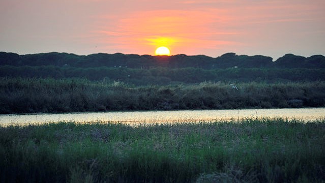 Ravenna-tramonto-sul-delta