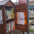 piccole_librerie_di_strada