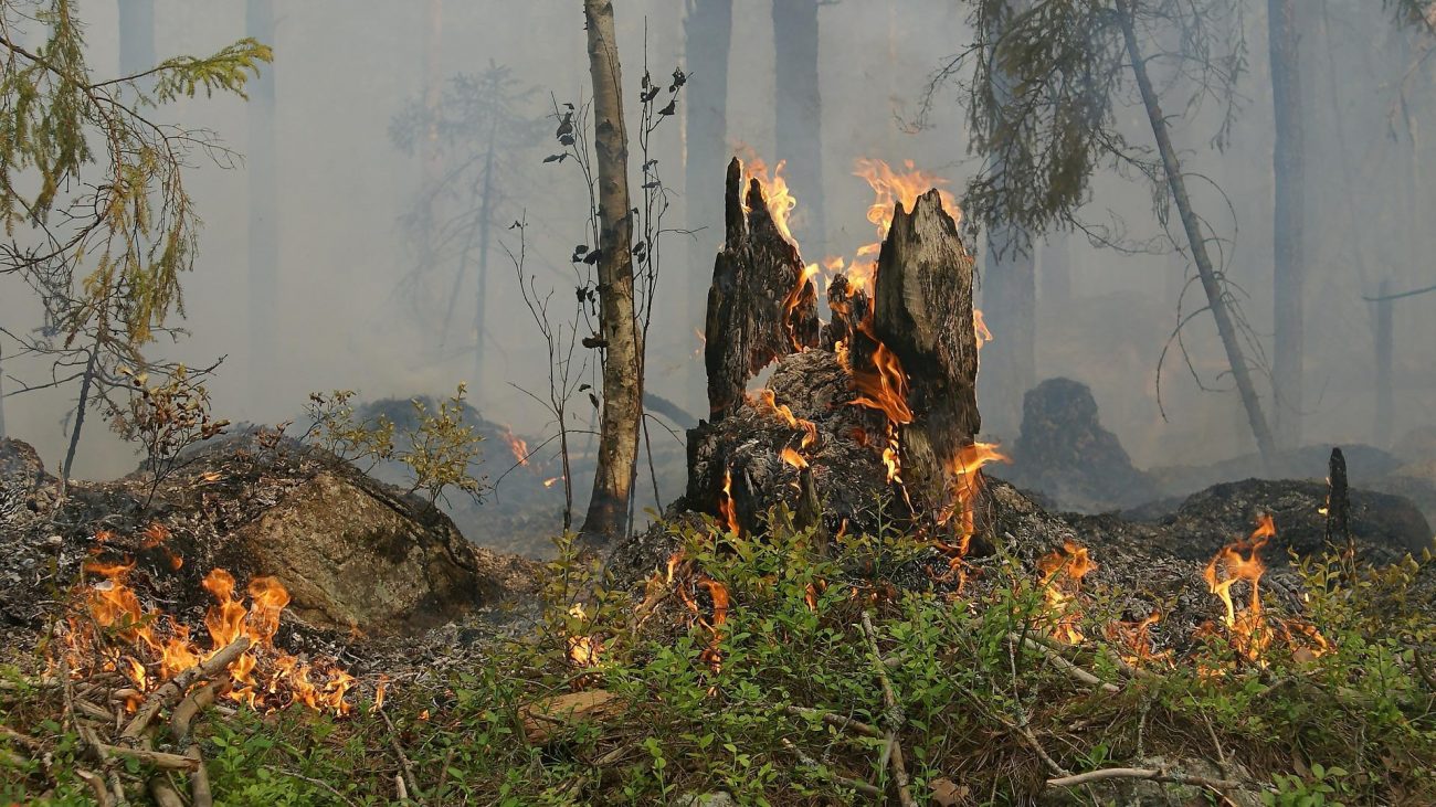 incendio