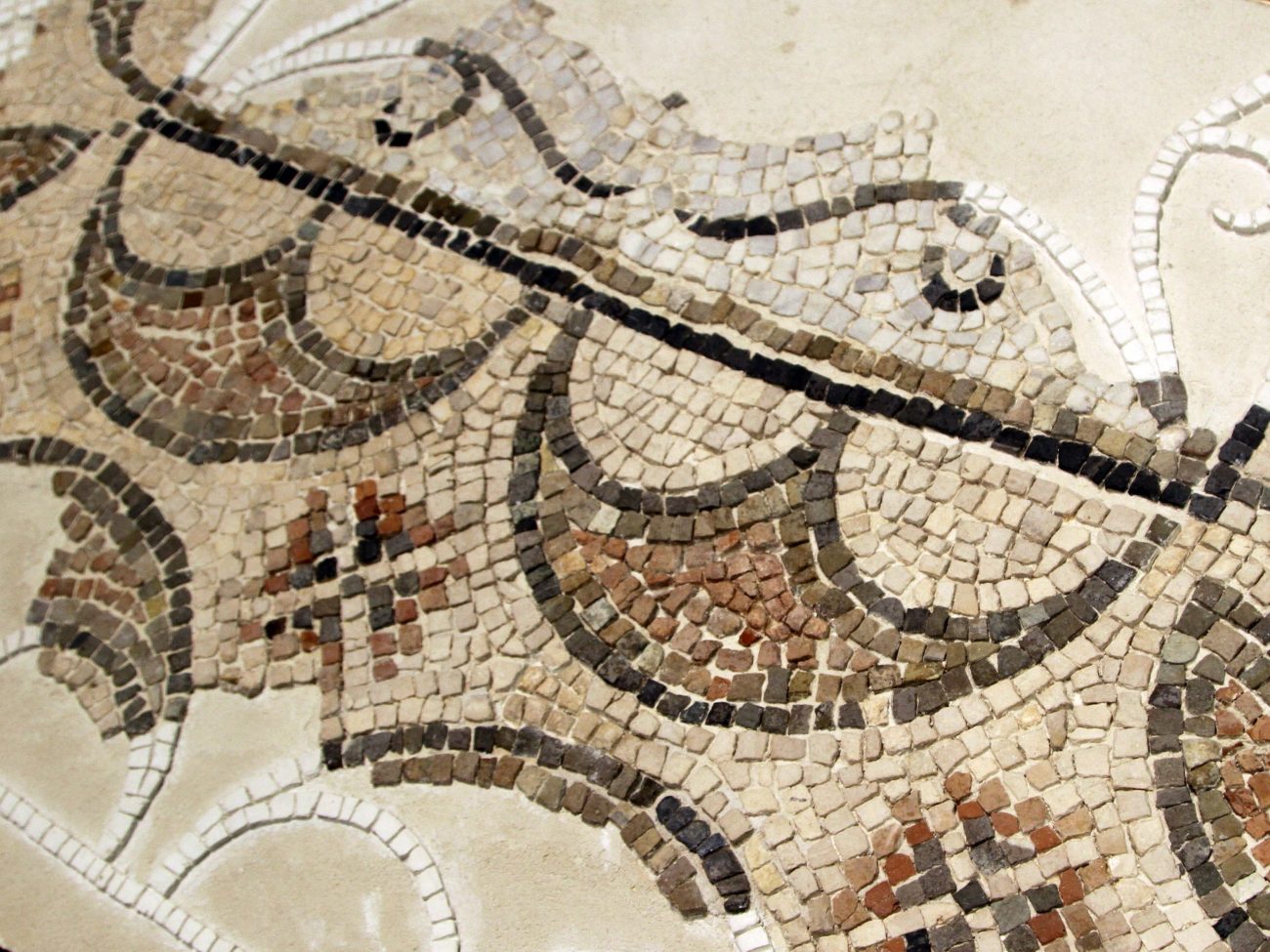 MUSA-tappeto musivo chiesa San Martino-phmanuela guarnieri