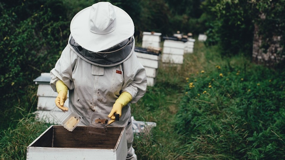 corso apicoltori